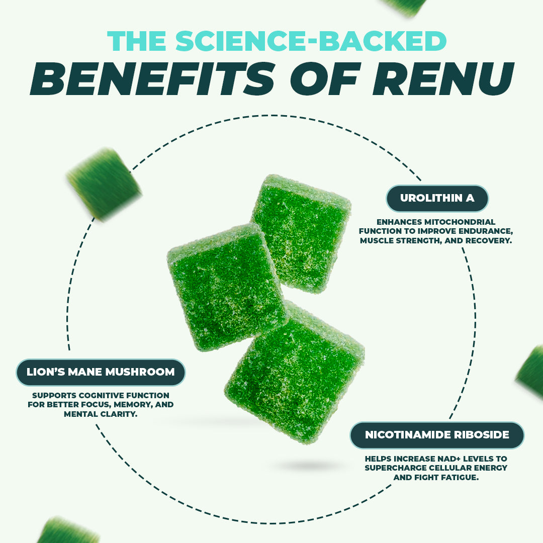 Renu